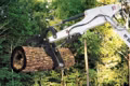 2023 Bobcat Grapple - 3-Tined, Class IV - Image 1