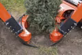 2023 Bobcat 32" Convertible Tree Spade, Cone - Image 1