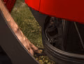 2026 Massey Ferguson MF 2605H - Image 16