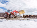 2025 Massey Ferguson MF 6S.155 - Image 21