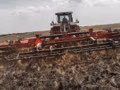 2023 Sunflower 1830-30 (SCG) - Image 1