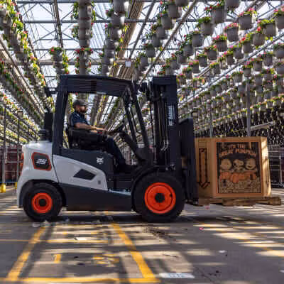 2025 Bobcat D35C-9 - Image 2