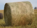 2026 Massey Ferguson MF 1745 D Round Baler - Image 11